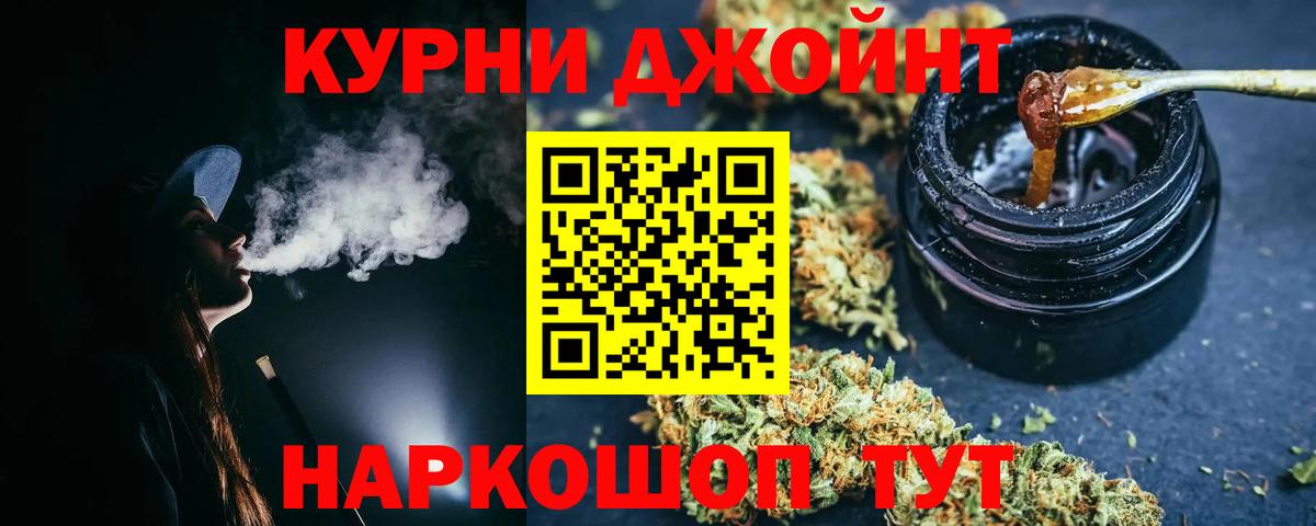 Канабис сатива Ноябрьск